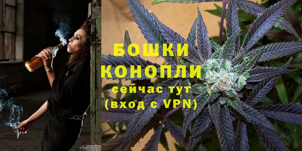 Альфа ПВП Арсеньев